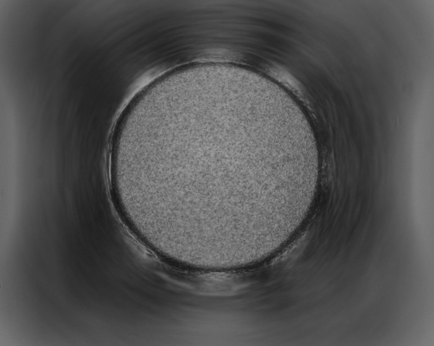 X0000086971130200705071351