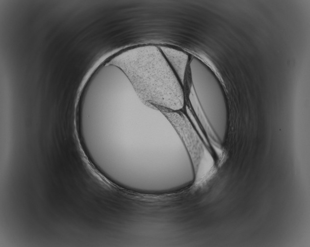 X0000086971132200705071351