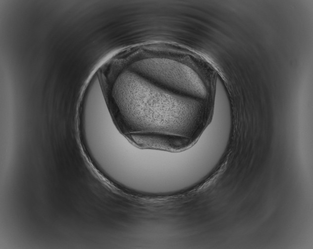 X0000086971134200705071351