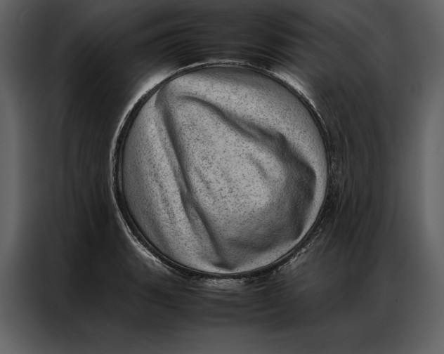 X0000086971135200705071351