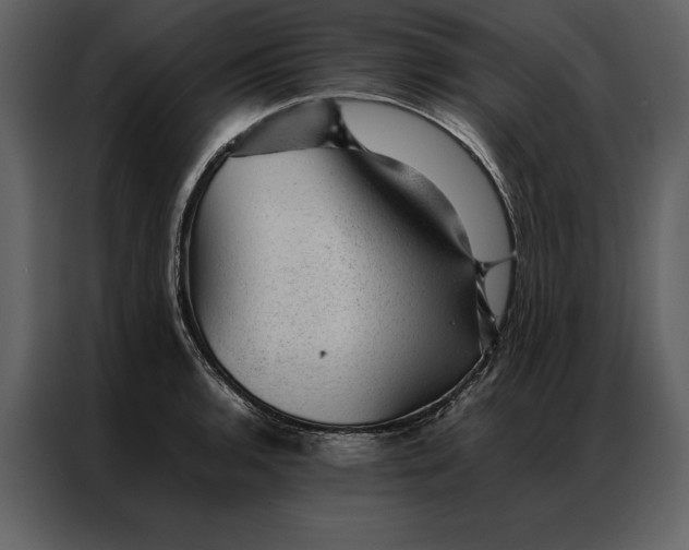 X0000086971136200705071351