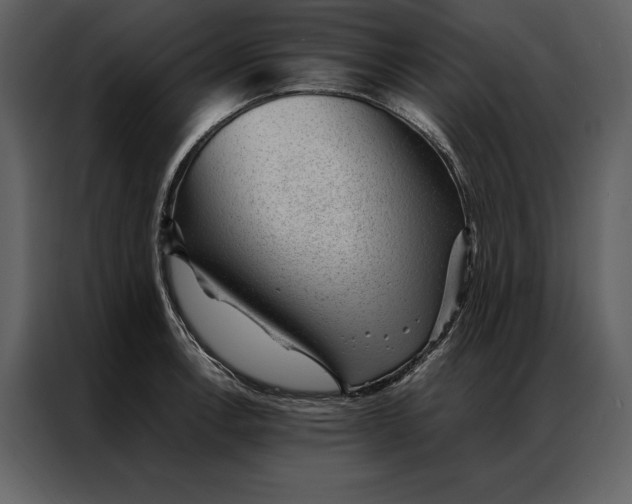 X0000086971138200705071351