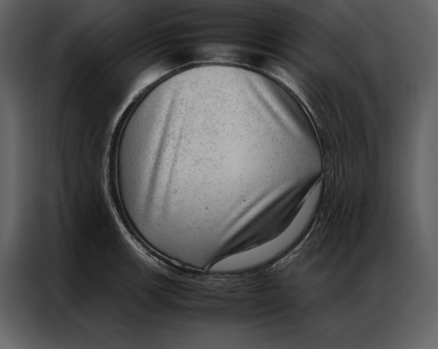 X0000086971139200705071351