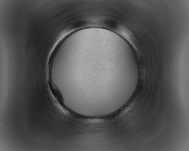 X0000086971140200705071351