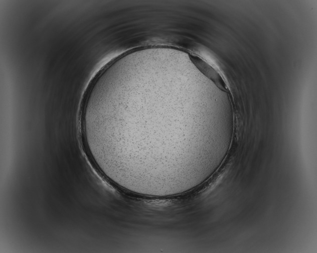 X0000086971141200705071351