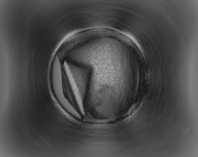 X0000086971142200705071351