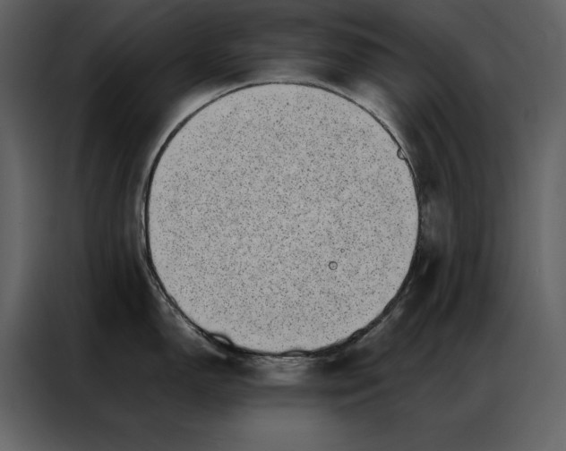 X0000086971150200705071351