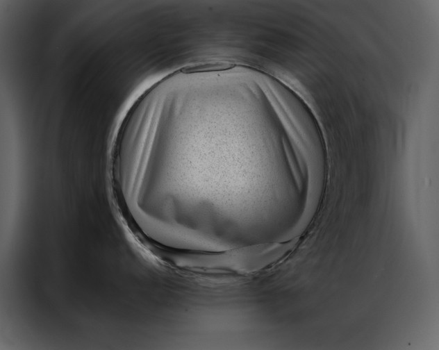 X0000086971152200705071351