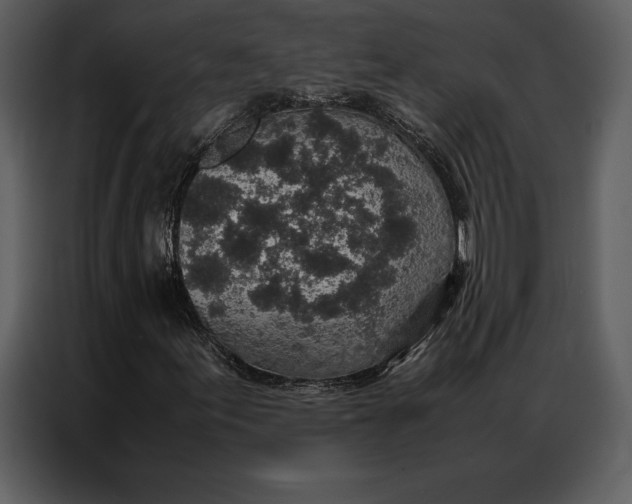 X0000086971155200705071351