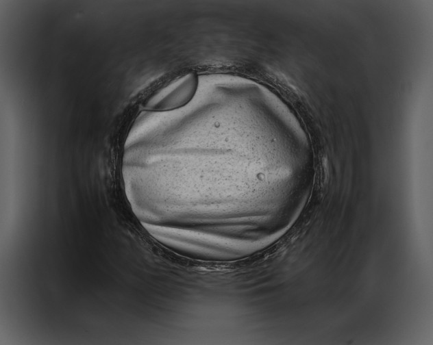 X0000086971158200705071351