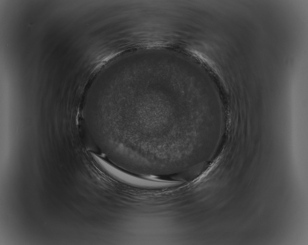 X0000086971161200705071351