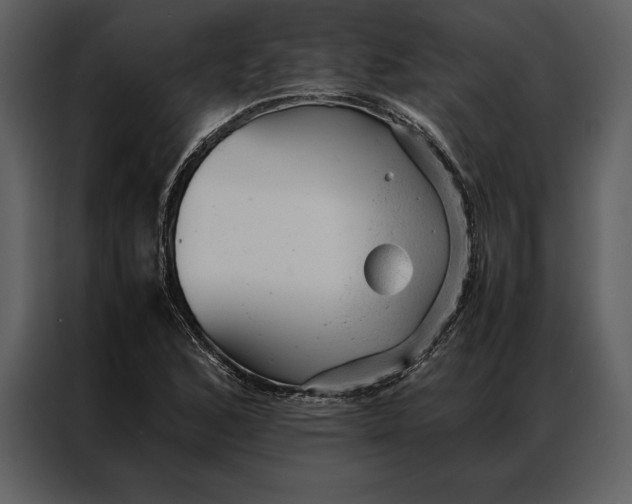 X0000086971168200705071351