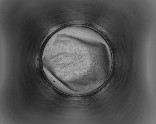 X0000086971170200705071351