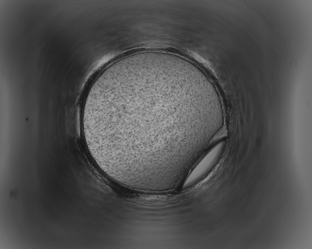 X0000086971171200705071351