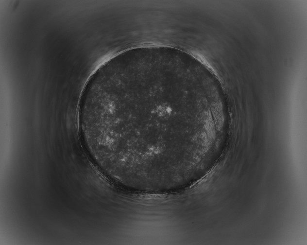 X0000086971173200705071351