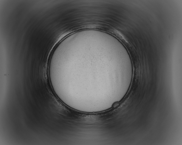 X0000086971178200705071351