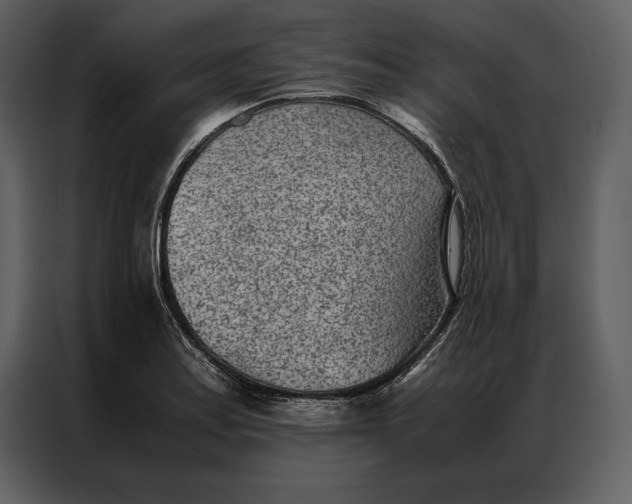 X0000086971179200705071350