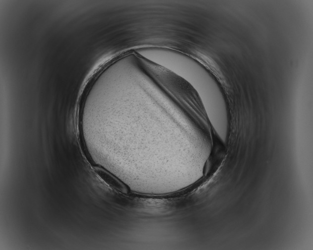 X0000086971180200705071350