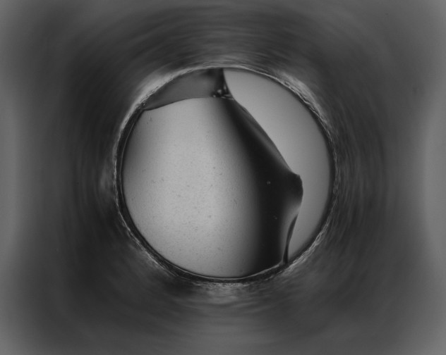 X0000086971184200705071350