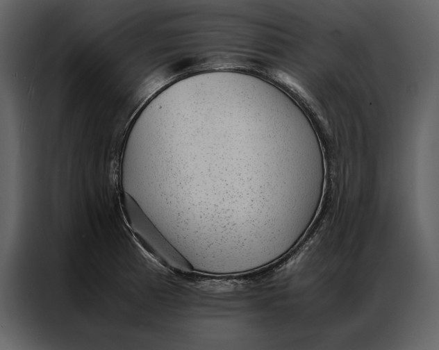 X0000086971185200705071350