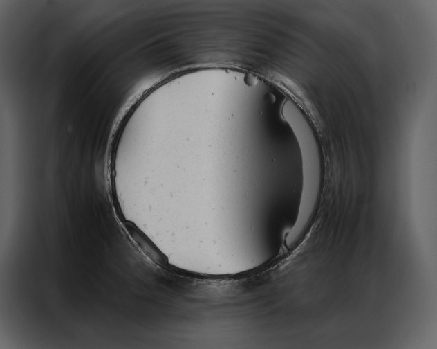 X0000086971188200705071350