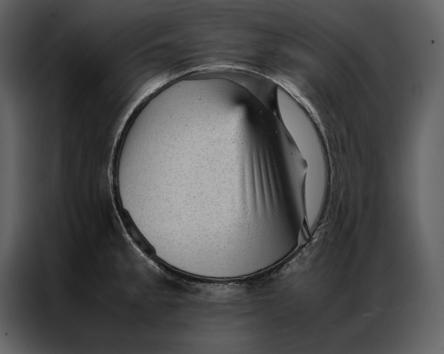 X0000086971189200705071350