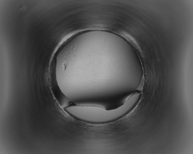 X0000086971192200705071350