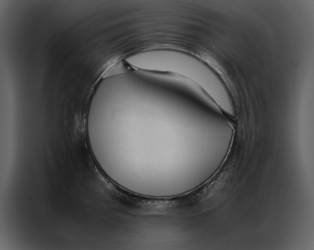 X0000086971193200705071350