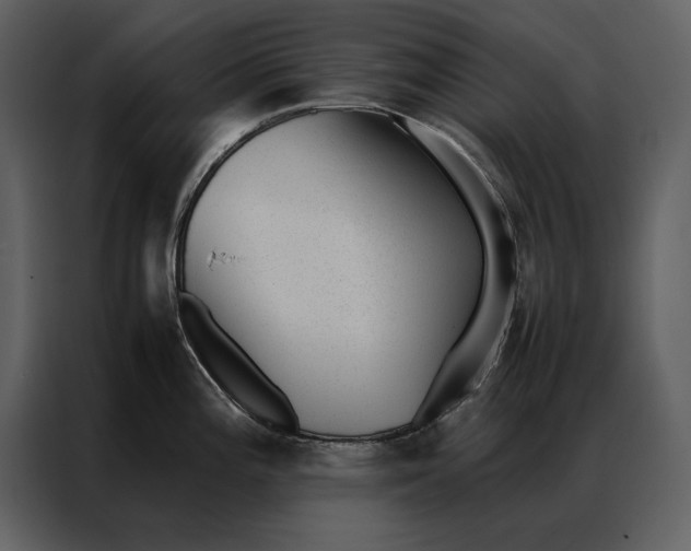 X0000086971196200705071350