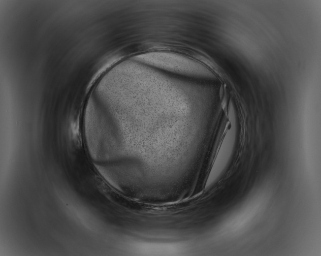 X0000086971198200705071350