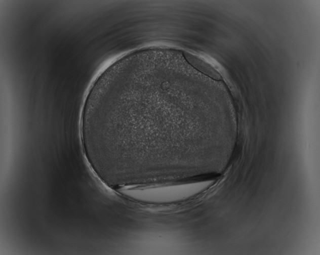 X0000086971199200705071350