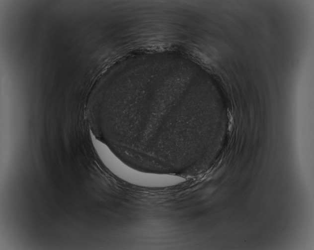 X0000086971202200705071350