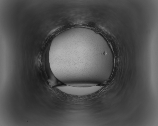 X0000086971206200705071350