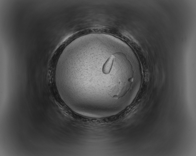 X0000086971208200705071350