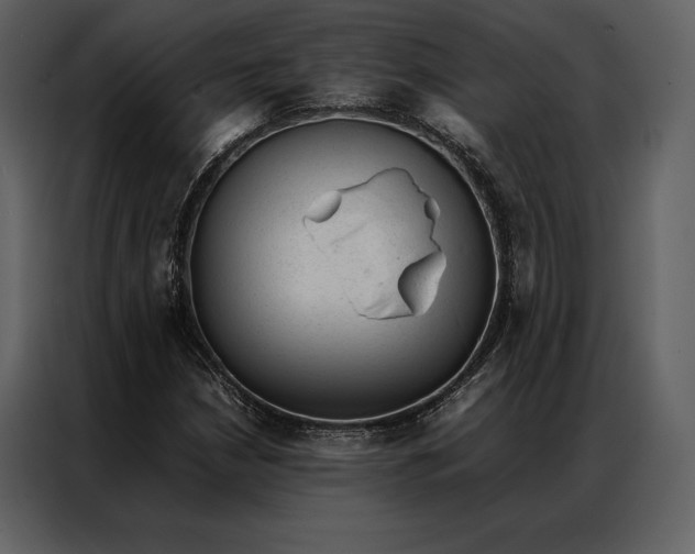 X0000086971210200705071350