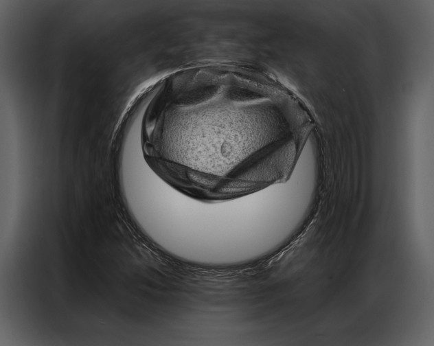 X0000086971214200705071350