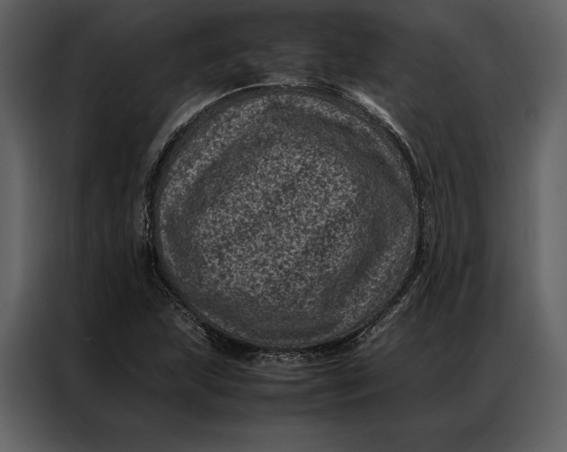 X0000086971215200705071350