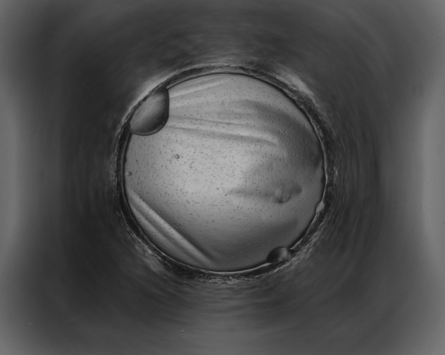 X0000086971216200705071350