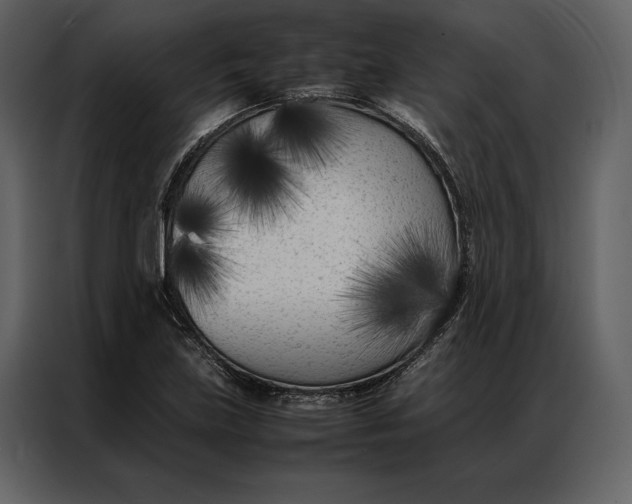 X0000086971219200705071350