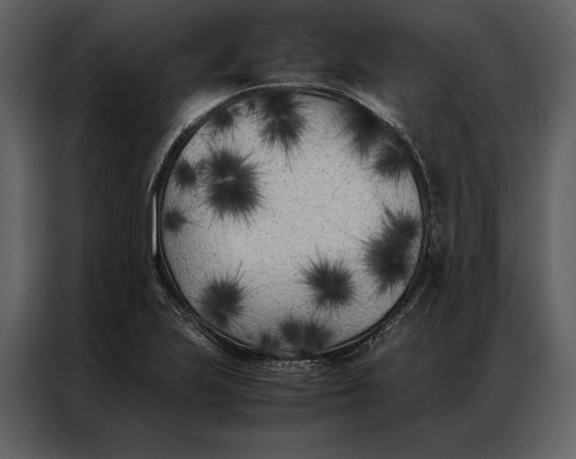 X0000086971223200705071350