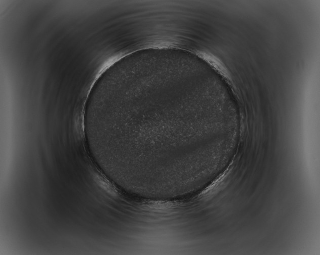 X0000086971226200705071350