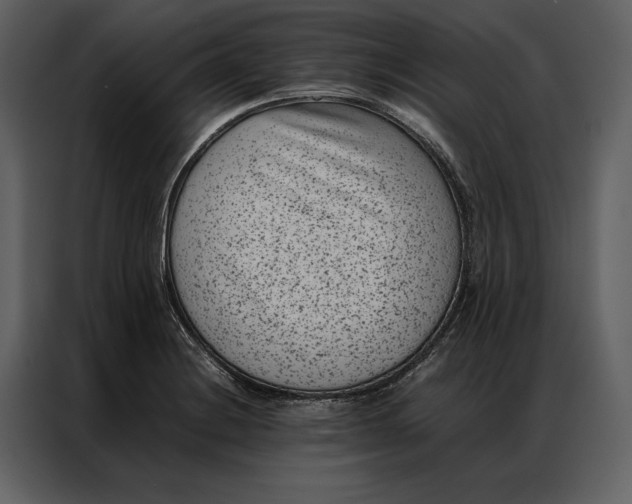 X0000086971228200705071350