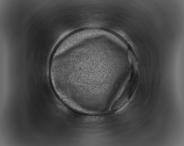 X0000086971232200705071350