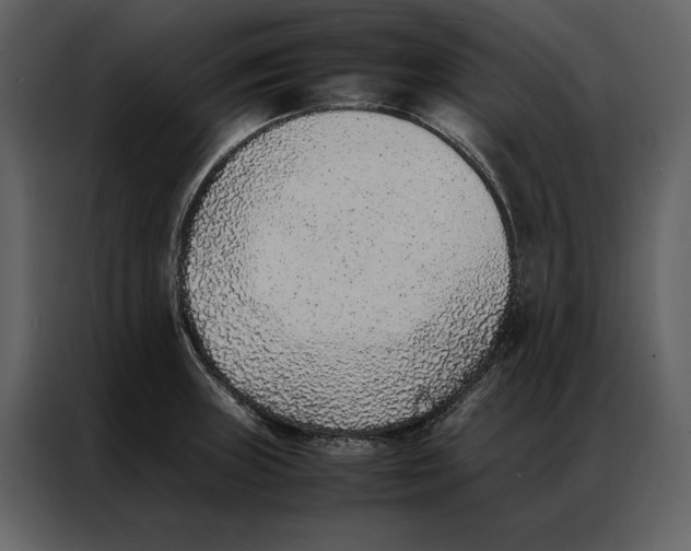 X0000086971235200705071350