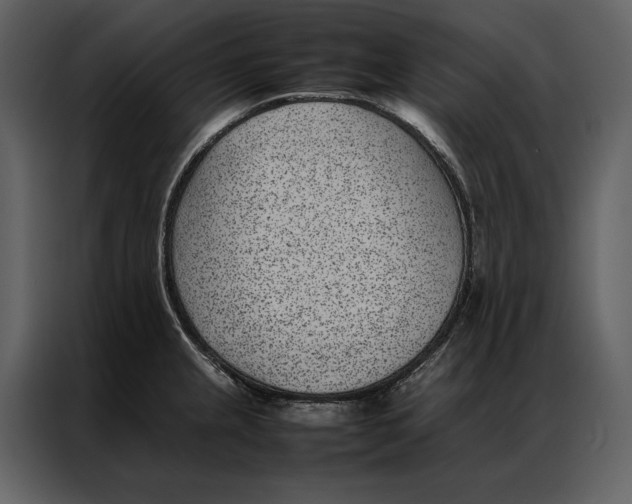 X0000086971237200705071350