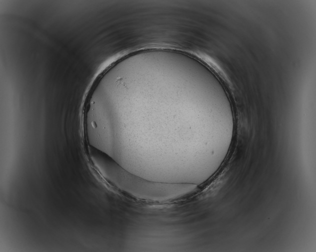 X0000086971238200705071350