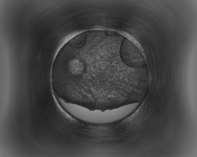 X0000086971239200705071350