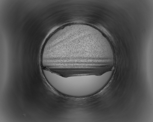 X0000086971240200705071350