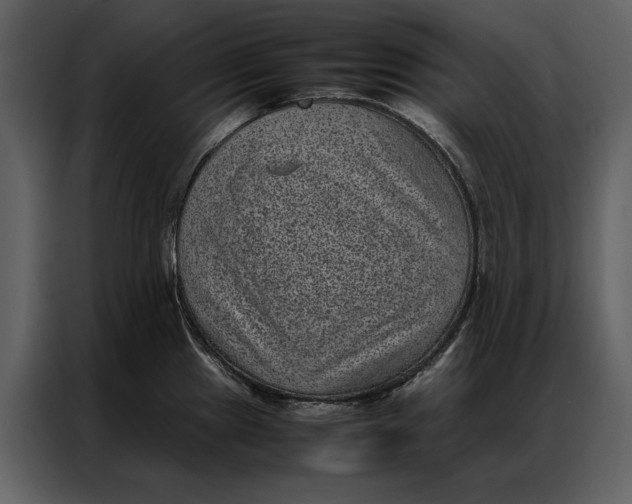 X0000086971241200705071350