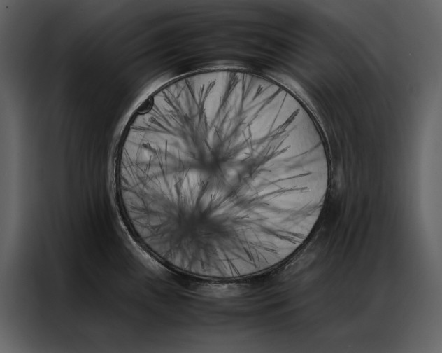 X0000086971243200705071350